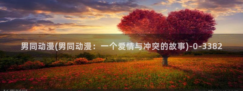 风之动漫:男同动漫(男同动漫:一个爱情与冲突的故事)