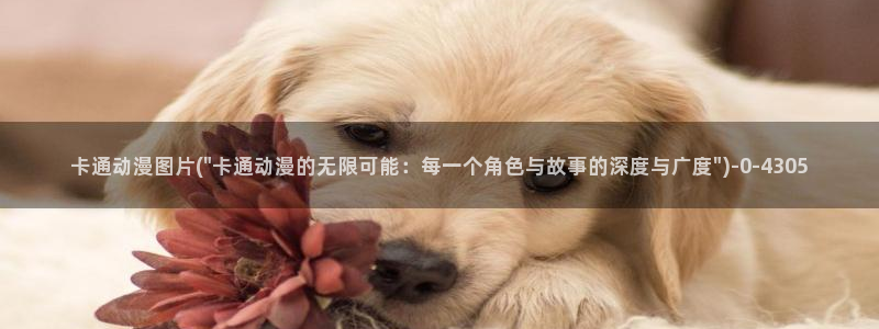 成年动漫:卡通动漫图片(\